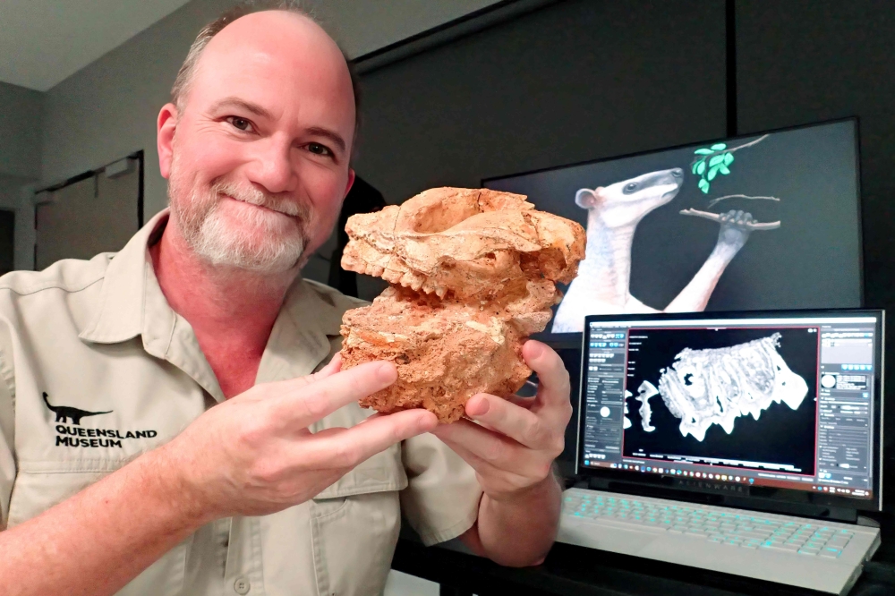 New techniques uncover how climate ‘upheaval’ led to the extinction of Australia’s giant kangaroos