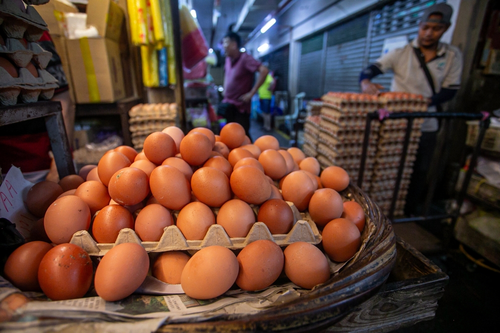 Retail prices of chicken eggs have remained steady despite the government reducing its egg subsidy by half, according to a survey conducted by Bernama in the capital and several states. — Bernama pic