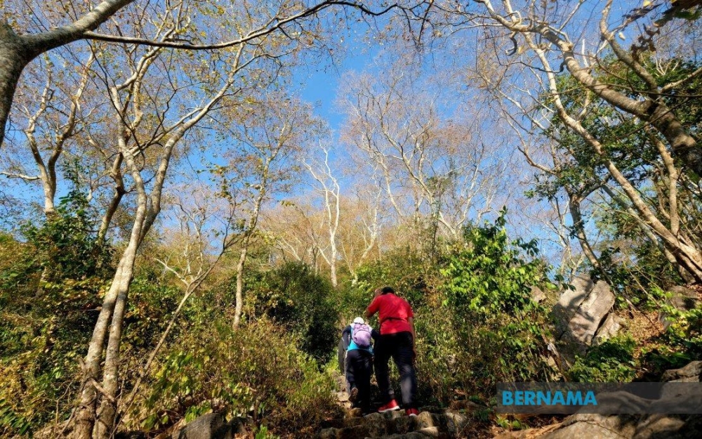 Police said the 48-year-old local man was discovered unconscious at the peak of Gunung Keriang. A rescue team comprising police and firefighters was sent to the scene and managed to bring him down to the base of the mountain by 6.40pm. — Picture from X/Bernama 