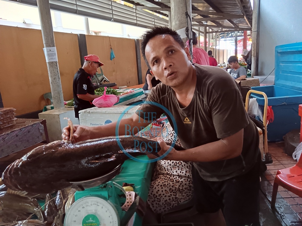Lawrence shows the ‘ikan ketutu’ that he purchased from a fisherman. — The Borneo Post pic