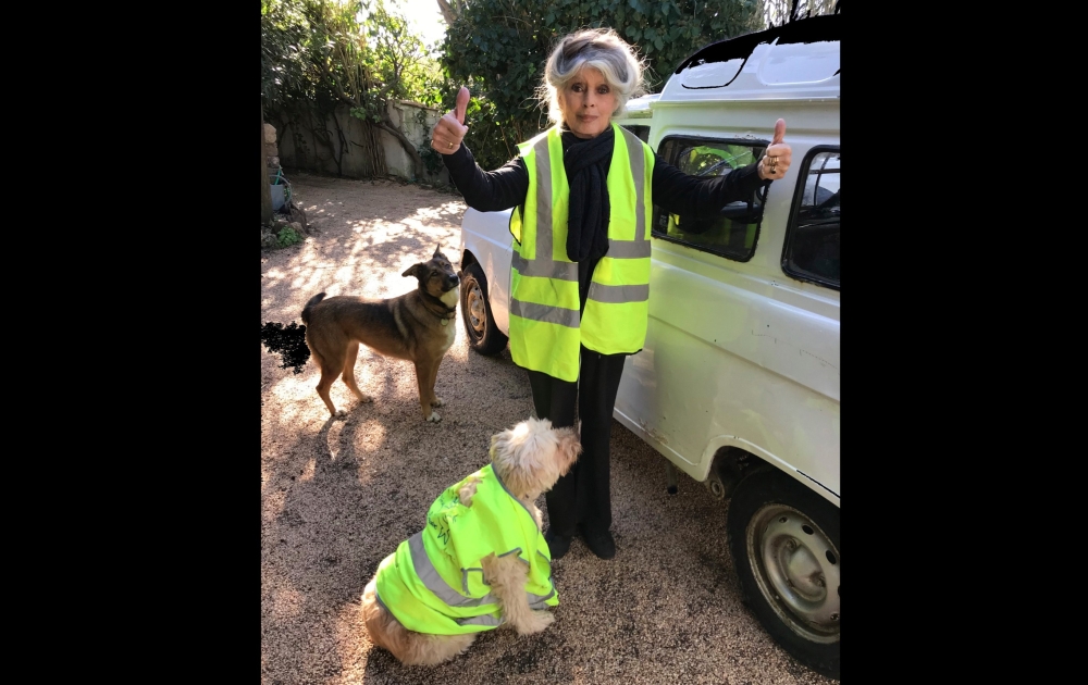 Brigitte Bardot has defended two French actors accused of sexual assault including fellow screen legend Gerard Depardieu, saying they should be allowed to “get on with their lives” in an interview with French channel BFM broadcast Monday. — Picture via X/Brigitte Bardot