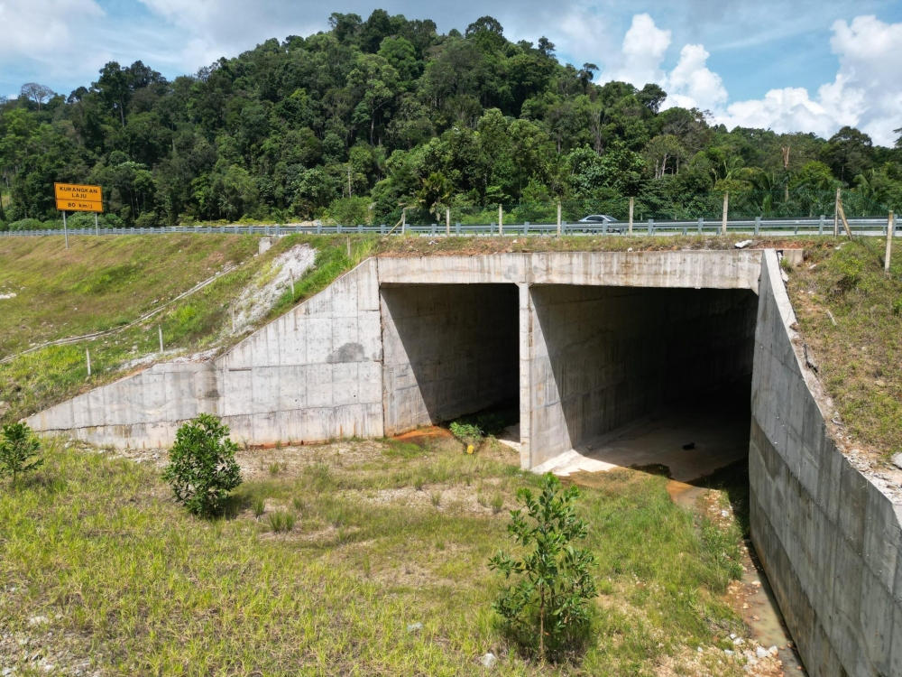 A Culvert Animal Crossing has been built along the Taiping Selatan–Beruas stretch at the West Coast Expressway. — Picture from Facebook/Works Ministry