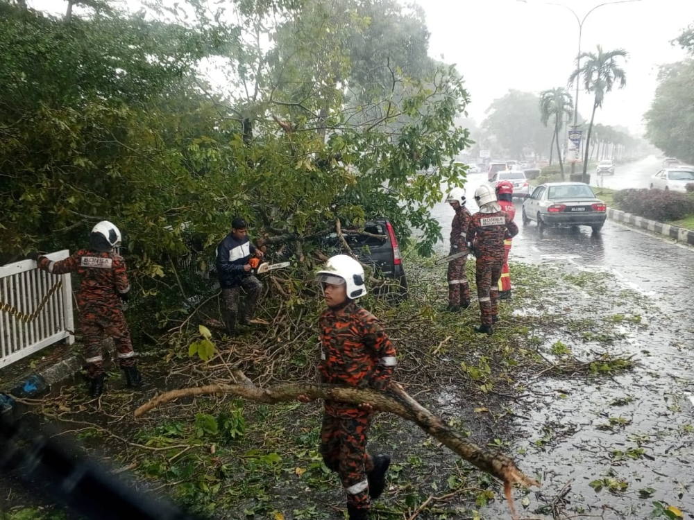 Fire and Rescue Department personnel clear fallen trees after the storm. — Picture via Facebook