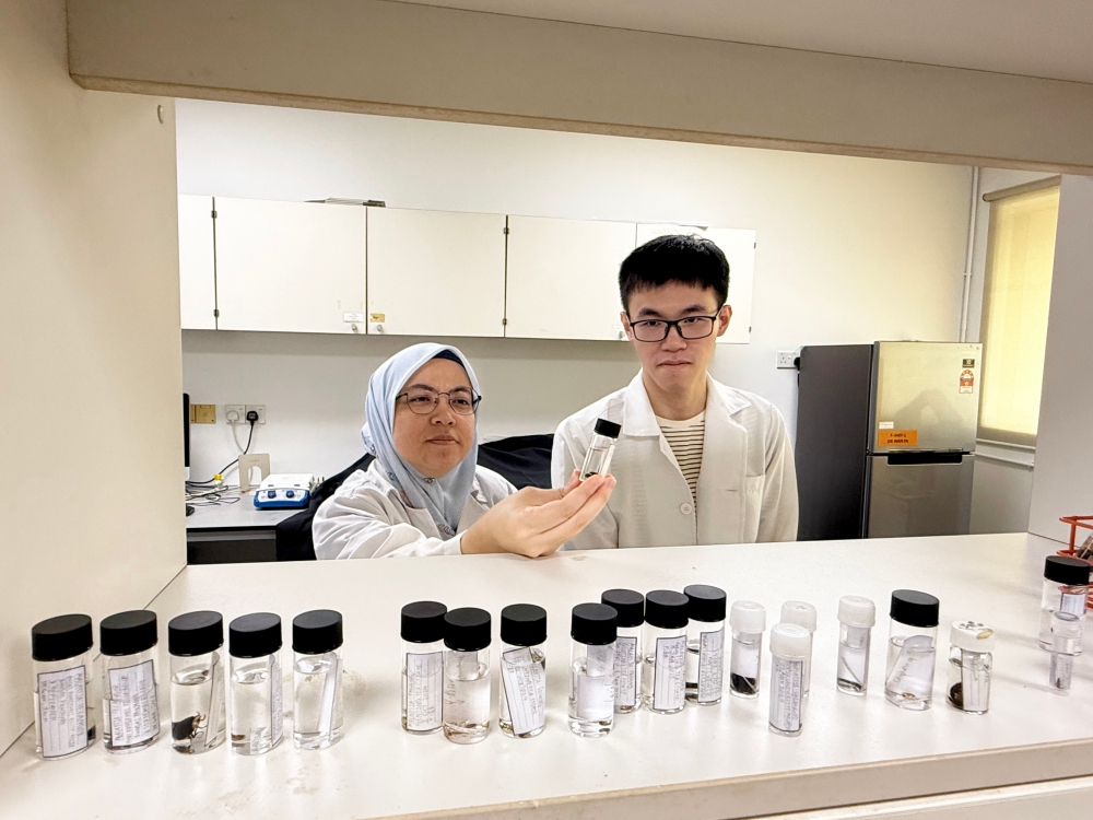 Firefly taxonomist and senior lecturer in Biodiversity and Conservation at Monash University Malaysia, Dr Wan Faridah Akmal Jusoh (left), and research assistant and environmental science postgraduate student Tan Wei Jack (right), displaying firefly specimens during an interview. — Bernama pic