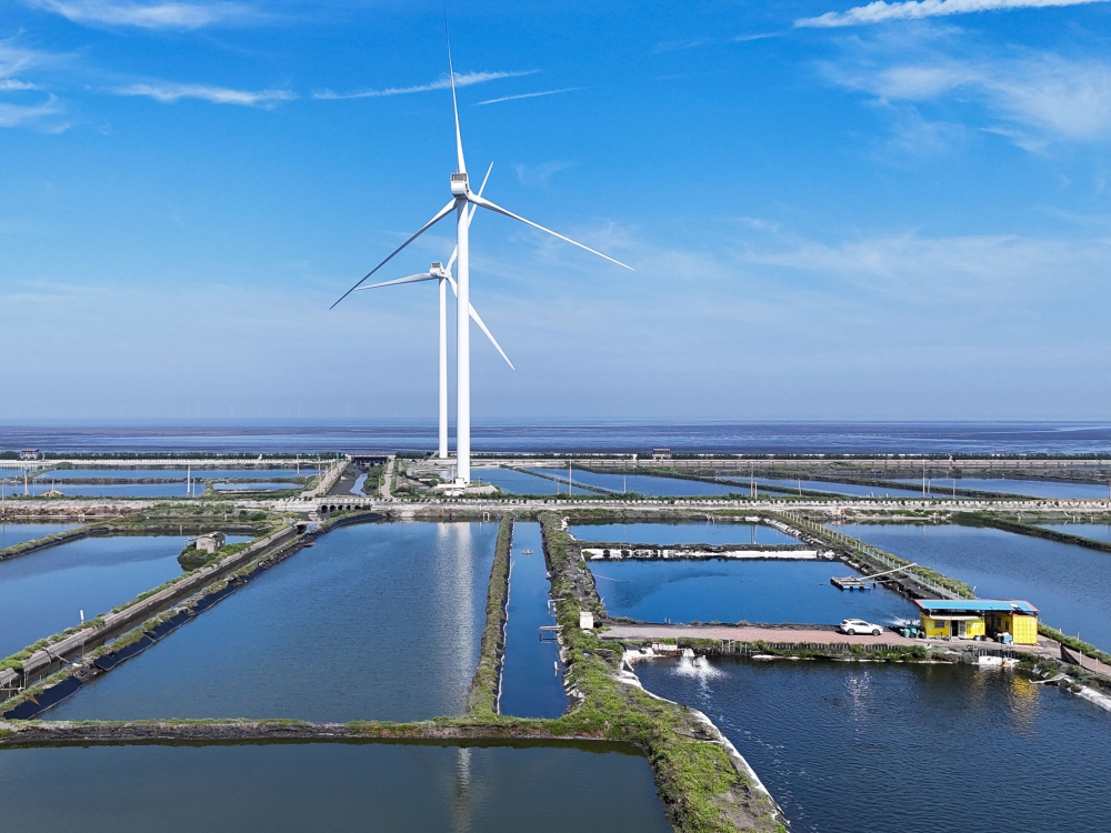 A drone image shows wind turbines surrounded by clam and shrimp farms in Changhua, Taiwan, May 16, 2025. — Reuters pic