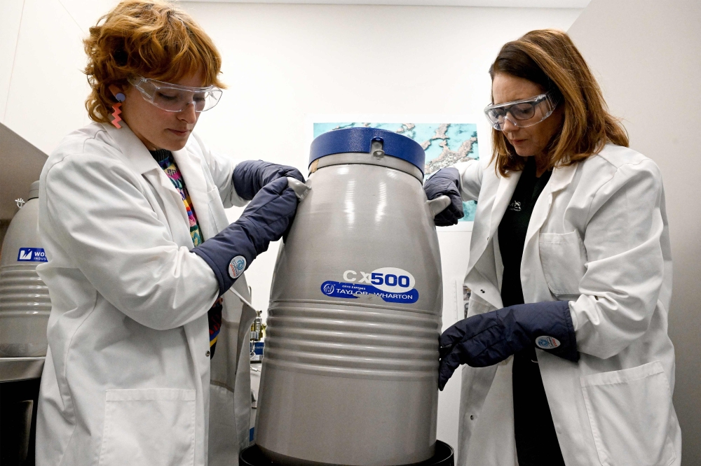 Rows of tanks filled with liquid nitrogen sit in temperature-controlled chambers at Sydney’s Taronga Zoo, cradling parts of the Great Barrier Reef’s diverse and magnificent corals frozen in time. — AFP pic