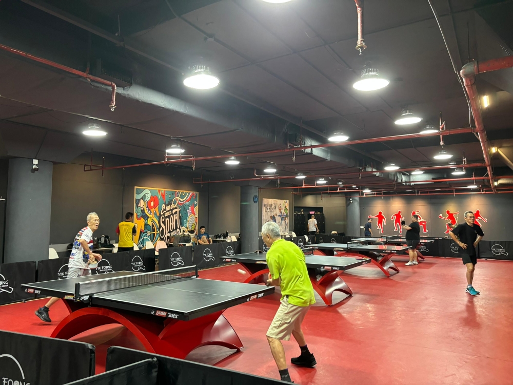 Visitors enjoying table tennis at the Yik Fong Theme Park in Ipoh, a favourite activity among older patrons. — Picture by John Bunyan
