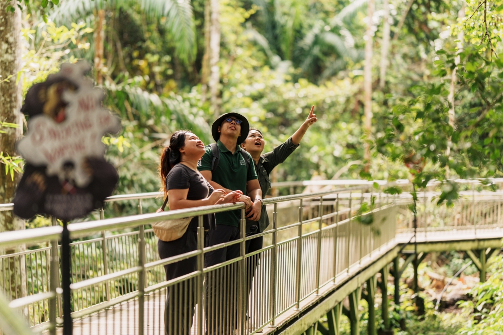 Visitors on a forest walkway at the BSBCC in Sandakan, Sabah, look up eagerly, keen to spot the sun bears. — Picture courtesy of Yayasan Hasanah