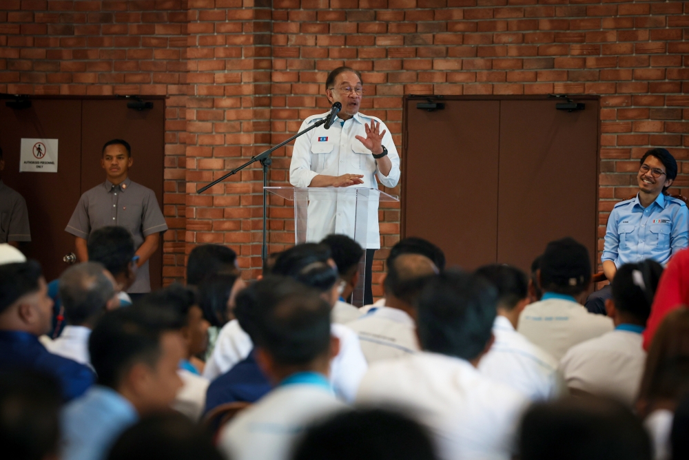 ‘Create opportunities for local farmers’: Anwar orders govt to stop ...