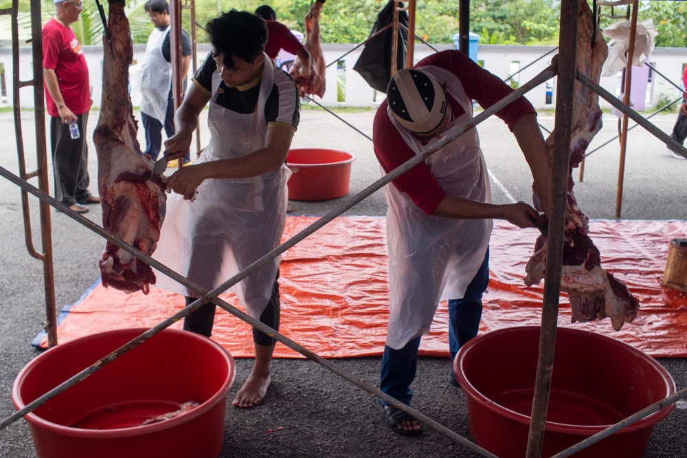 File photo for illustration purposes only. Men prepare lamb meat during the ‘Korban Perdana 2024’ at Maahad Tahfiz Kiblah in Dengkil June 17, 2024. — Picture by Shafwan Zaidon