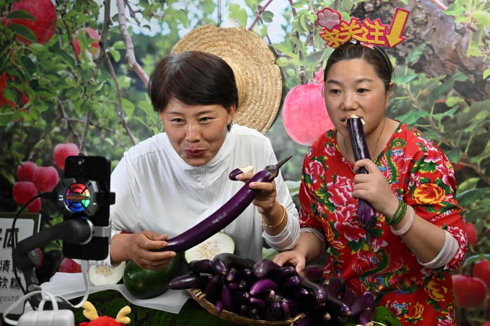 Participants of a “hands-on livestreaming bootcamp” for farmers conducting a livestream sales presentation at the rural revitalisation office in Penglai, Yantai city, China’s eastern Shandong province June 26, 2025. — AFP pic