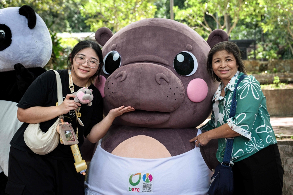 Visitors take a photo with a Moo Deng mascot at Khao Kheow Open Zoo in Chonburi province on July 10, 2025. — AFP pic 