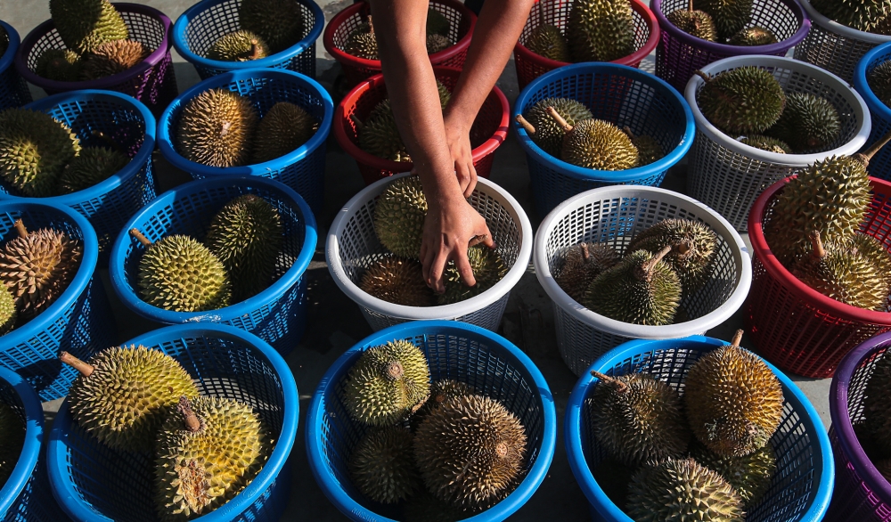 The Sessions Court in Kuala Lumpur sentenced a man to jail and fined his wife after they admitted to abusing their young daughter using a durian husk. — Picture by Farhan Najib