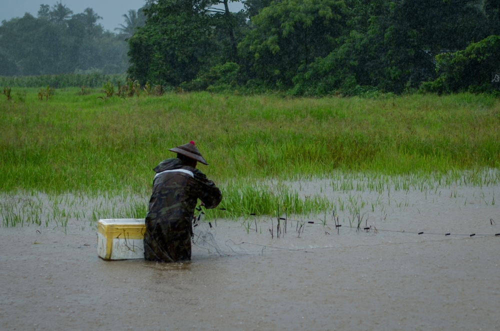Since 21 July, heavy rains have inundated 12 provinces, mostly in the northern and central regions, according to Thailand’s Department of Disaster Prevention and Mitigation. — SOPA images via Reuters