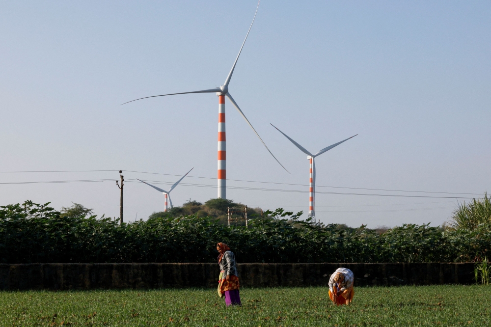 Farmers work in an onion farm near power-generating windmill turbines of Adani Green Energy at Ahmedabad-Narayan Sarovar state highway near Nakhatrana village in the western state of Gujarat November 29, 2024. — Reuters pic