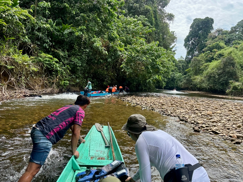 The journey along the Melinau River from the Mulu National Park jetty to Long Litut is more than just transportation — it’s a cultural experience. — Bernama pic