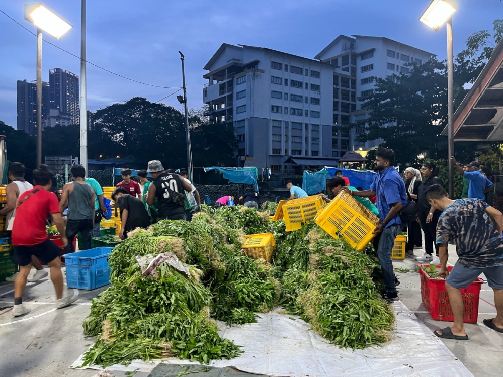 The students collect the produce from Pasar Borong Selayang. — Picture courtesy of Universiti Malaya