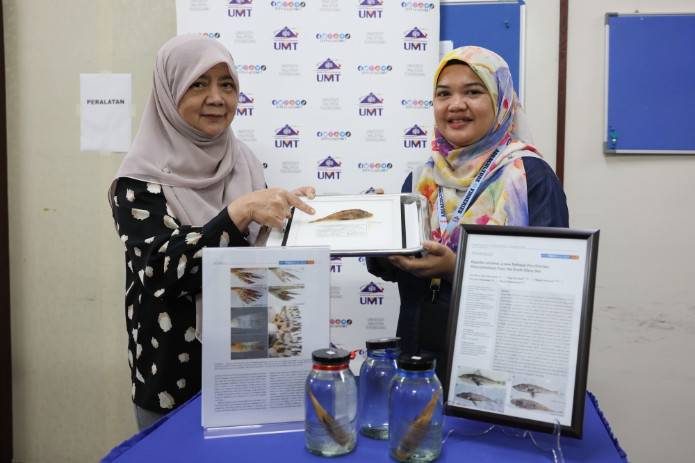 Dr Tun Nurul Aimi Mat Jaafar from the Faculty of Fisheries and Aquaculture Sciences at Universiti Malaysia Terengganu (UMT), together with UMT’s lead research fellow Prof Dr Siti Azizah Mohd Nor, showcases a newly discovered fish species from the South China Sea, named Rogadius azizahae. — Bernama pic