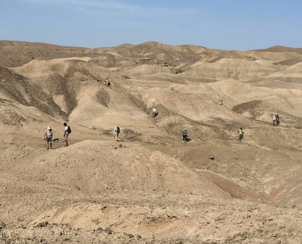 Scientists scour the landscape for fossils in the Ledi-Geraru paleoanthropological research area in the Afar Region of northeastern Ethiopia, in this undated handout picture released on August 13, 2025. Thirteen tooth fossils of the genus Homo and the genus Australopithecus unearthed in this area shed new light on human evolution. — Kaye Reed, Arizona State University handout pic via Reuters