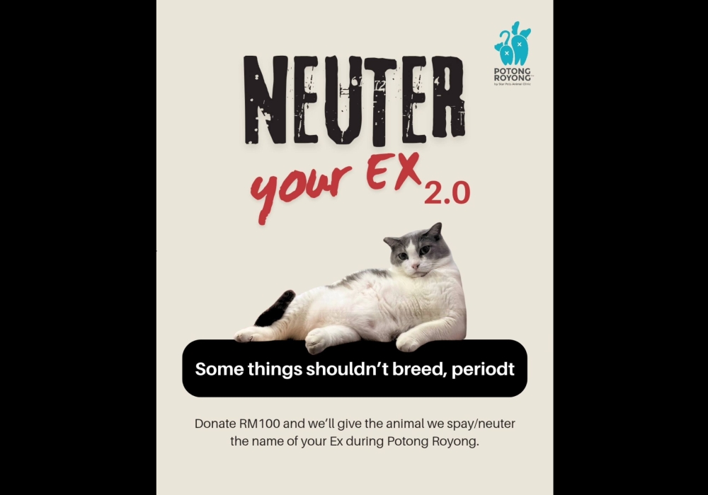Still holding onto some feelings for your ex? Why not turn them into something positive with SPCA Selangor’s cheeky Neuter Your Ex 2.0 campaign. — Picture via Facebook/SPCA Selangor