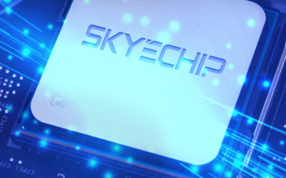 A screen capture of the SkyeChip website.