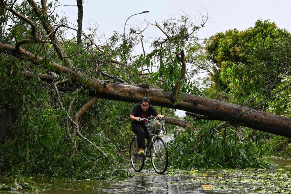 A woman rides her bicycle to make her way under a fallen tree blocking the road after Typhoon Kajiki passed through Nghe An province in Vietnam on August 26, 2025. — AFP pic