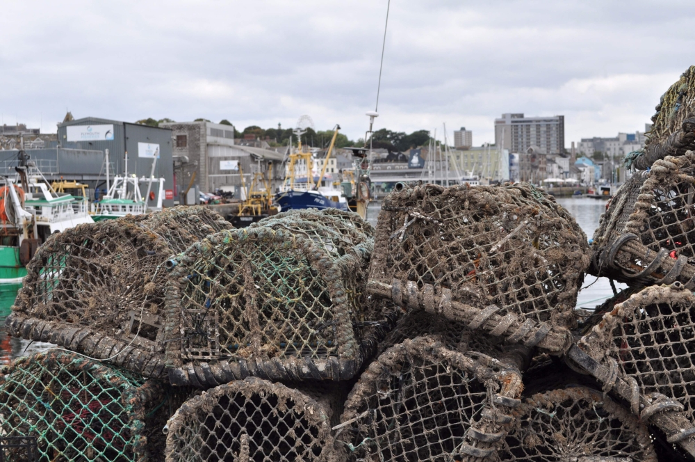 Crab pots are seen on the quayside at Plymouth Harbour, southwest England, on August 21, 2025, as an unprecedented octopus bloom — the largest in British waters in 75 years — disrupts the region’s shellfish industry. — AFP pic