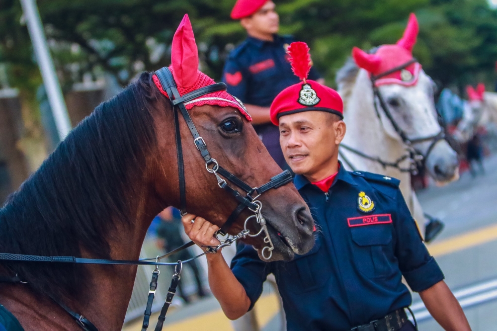 PDRM personnel responsible for handling the horses must possess both competence and intelligence to gain the trust of these highly sensitive animals-particularly when exposed to loud noises. — Picture via Facebook/Polis Berkuda PDRM