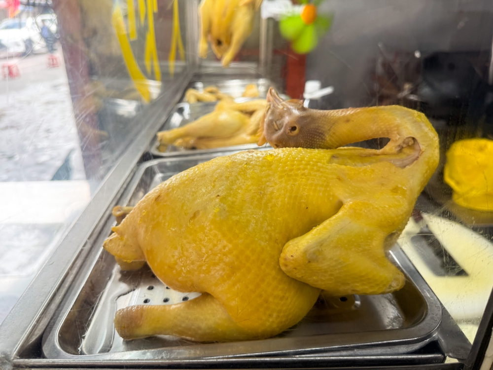Slightly yellowish in colour, the smooth skin and succulent meat from this ‘kampung chicken’ is highly sought after by fans of this type of chicken. — Picture by Lee Khang Yi