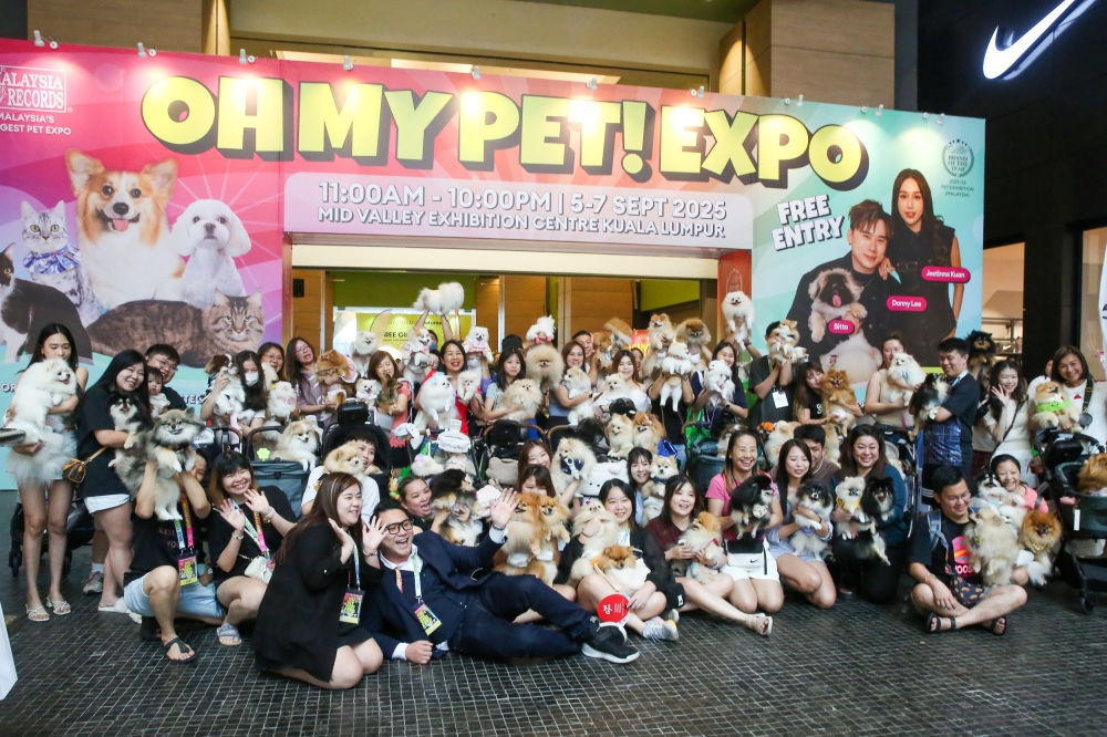 Members of a local Pomeranian owners’ community called Puff & Tuft. — Picture by Choo Choy May