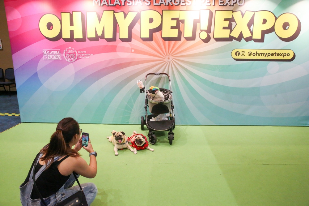 A scene at the expo. — Picture by Choo Choy May