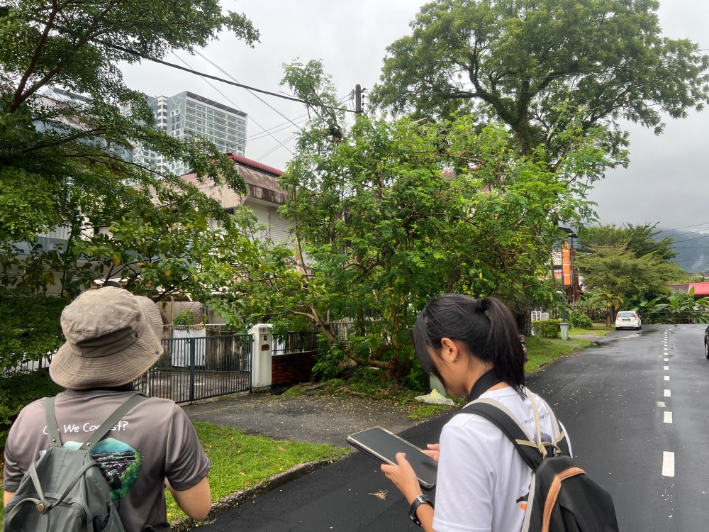 Langur Project Penang founder Yap Jo Leen (left) and project executive Wong Hui Yi recording the activities of Ah Tan’s family as the primates move around the quiet residential area in Tanjung Bungah. — Picture by Opalyn Mok