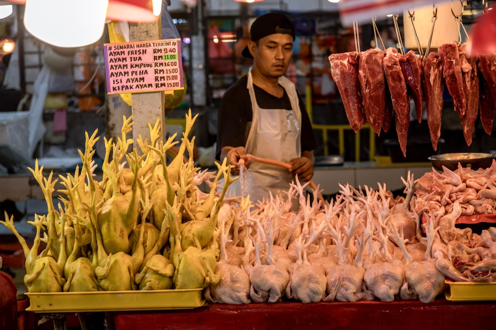 Chickens for sale at a market in Chow Kit, Kuala Lumpur. Importers said the new sales tax on feed ingredients will drive up the cost of chicken, eggs and meat in Malaysia. — Picture by Firdaus Latif