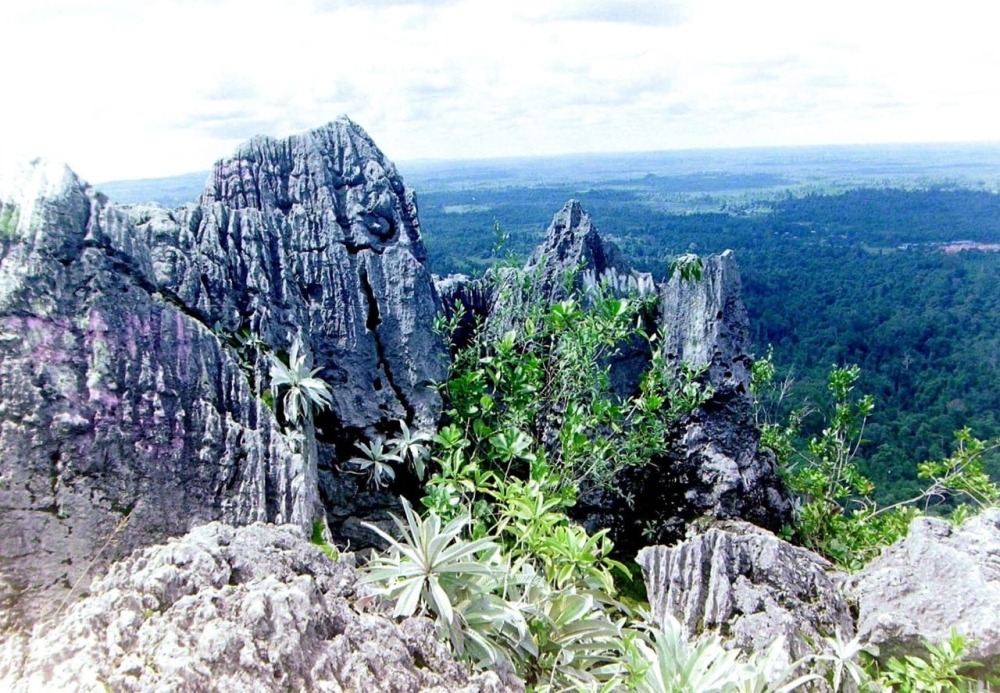 Bukit Kasut trails have temporarily closed to the public. — Picture via Facebook/Sarawak Forestry Corporation