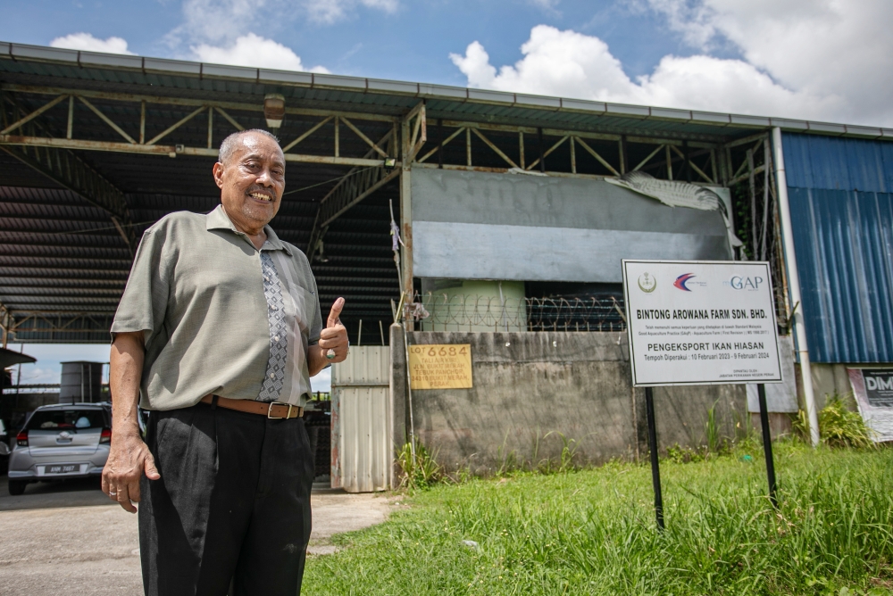 Bintong Arowana Farm Sdn Bhd owner Adzmi Saad in front of his arowana farm in Kerian September 14, 2025. — Bernama pic