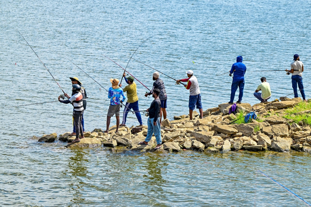 Anglers cast their rods to bait Giant Snakehead fish during a fishing competition at the Deduru Oya reservoir in Kurunegala on September 20, 2025. — AFP pic 