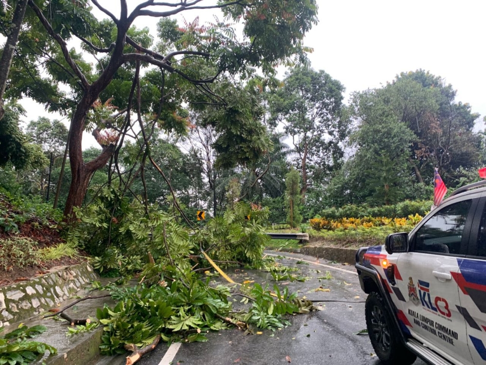 A DBKL vehicle is seen near the site of a fallen tree after a storm in Kuala Lumpur on Sept 22, 2025. — DBKL pic