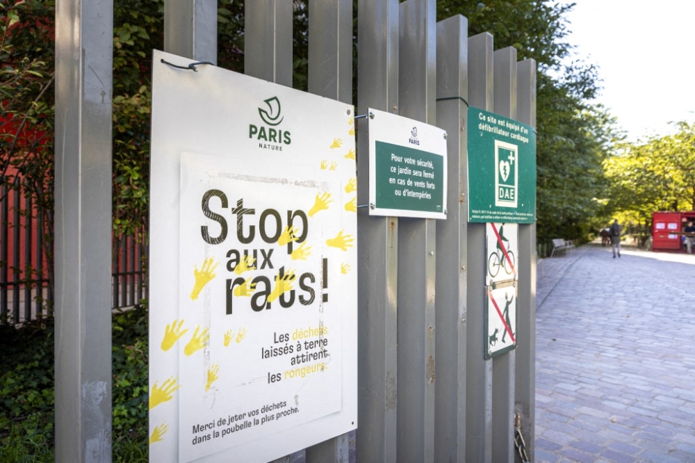 Poster on the presence of rats. — AFP pic 