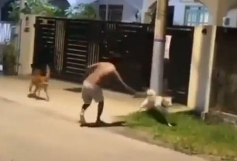 A still shows a man hitting one of his family’s pet dogs with a steel rod in Taman Orkid, Ipoh.