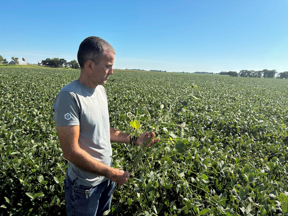 Soybean grower Ryan Frieders stands in a soy field on his farm in Waterman, Illinois August 27, 2025. — Reuters pic