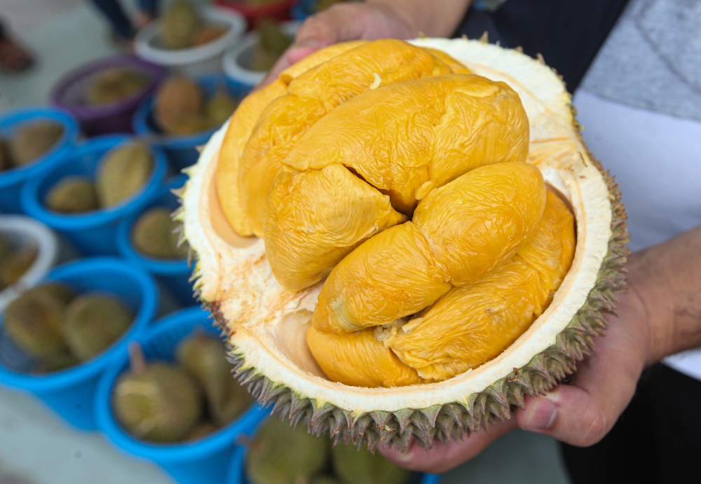 Be careful, even buying a durian online can cause you to lose your money to scammers, if you click on suspicious links and your mobile phone or computer gets infected by malware. — Picture by Farhan Najib