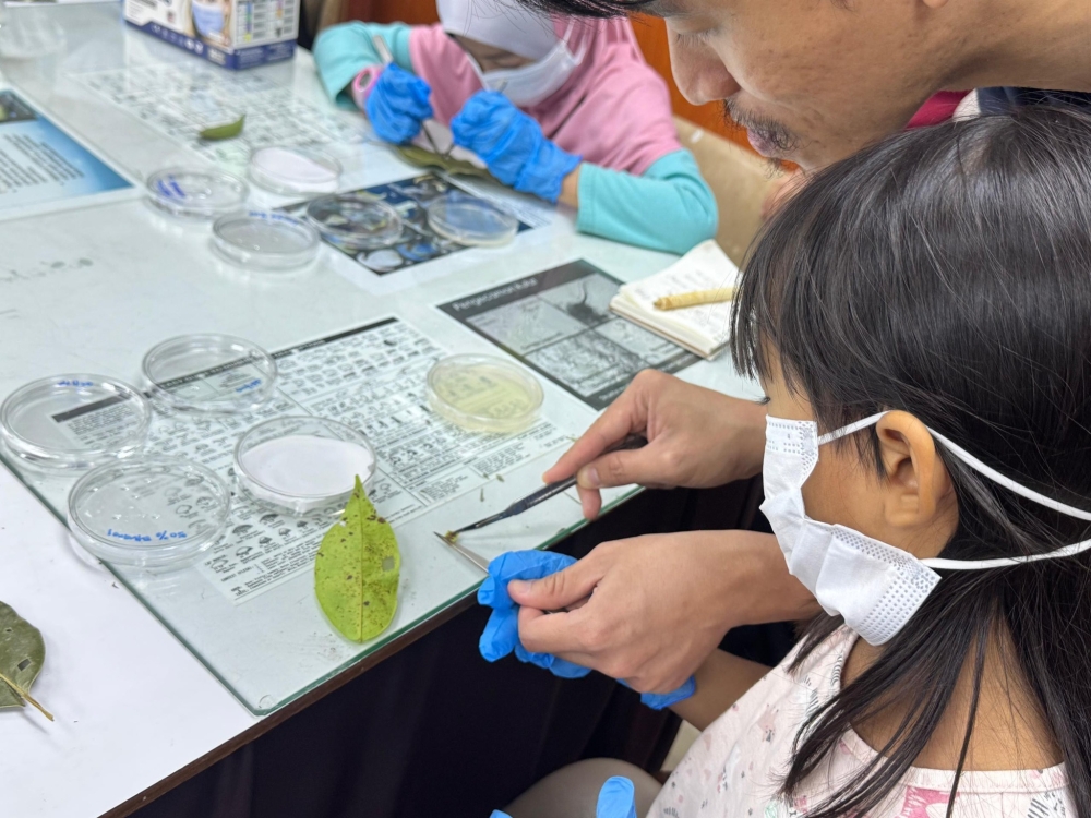 Visitors to FRIM participate in an interactive programme during its 40th anniversary open day. — Picture from Facebook/FRIM