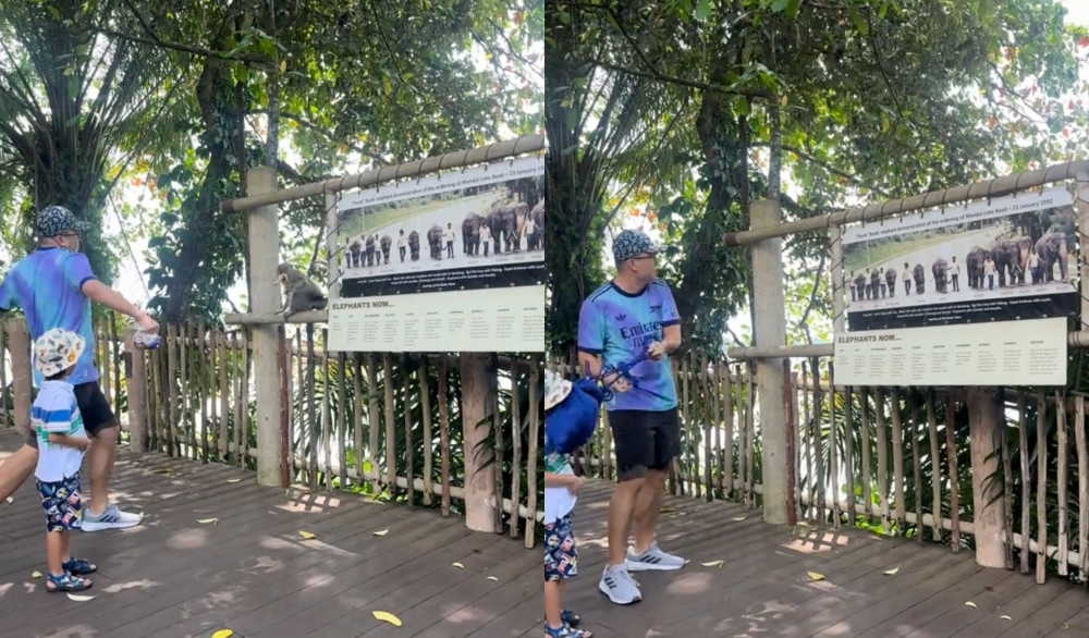 A long-tailed macaque makes off with a child’s snack as a father’s attempted rescue with a bag goes disastrously wrong.