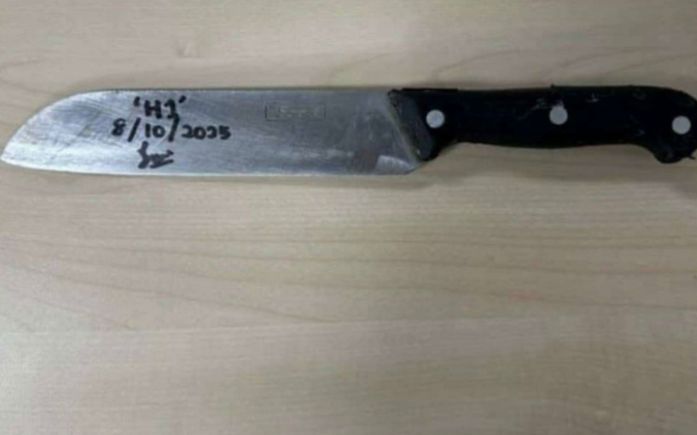 A Bangladeshi woman has been remanded for five days after she allegedly cut off her boyfriend’s manhood in a fit of jealousy at Kampung Lokan in Gelang Patah. — Bernama pic/PDRM handout