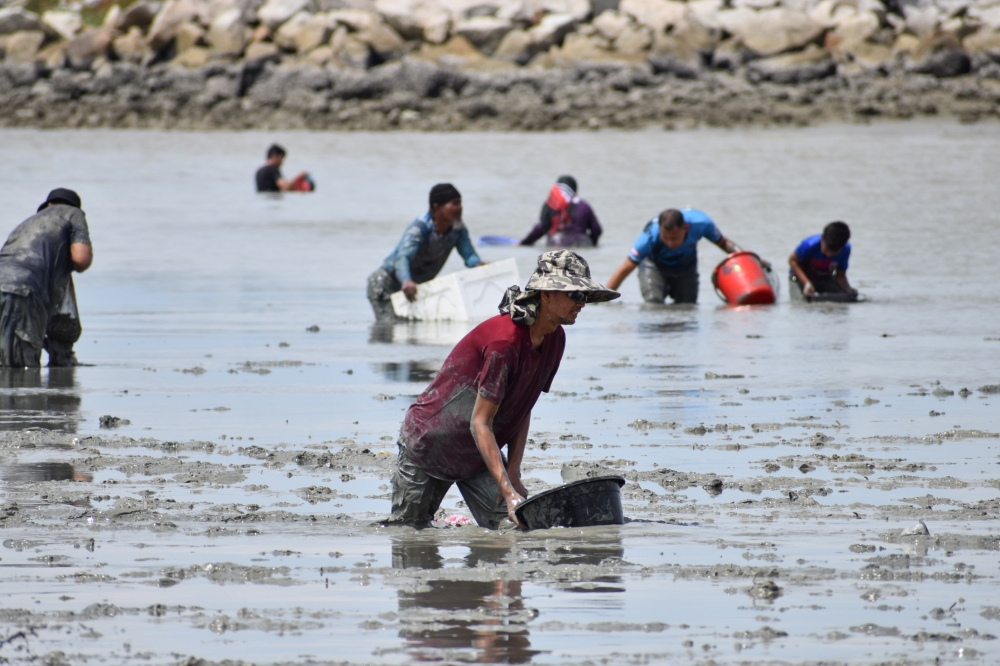 The thrill of the hunt has drawn many visitors. — Bernama pic