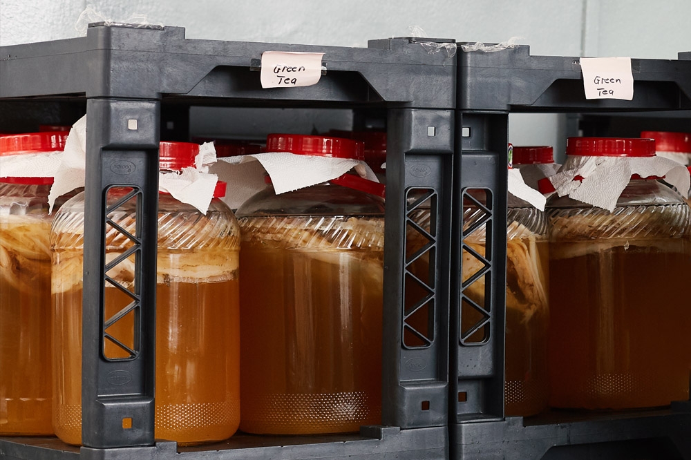 Jars of kombucha being fermented. — Picture courtesy of Wonderbrew