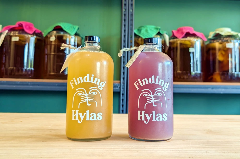 Finding Hylas offers 1-litre bottles of kombucha too. — Picture courtesy of Finding Hylas