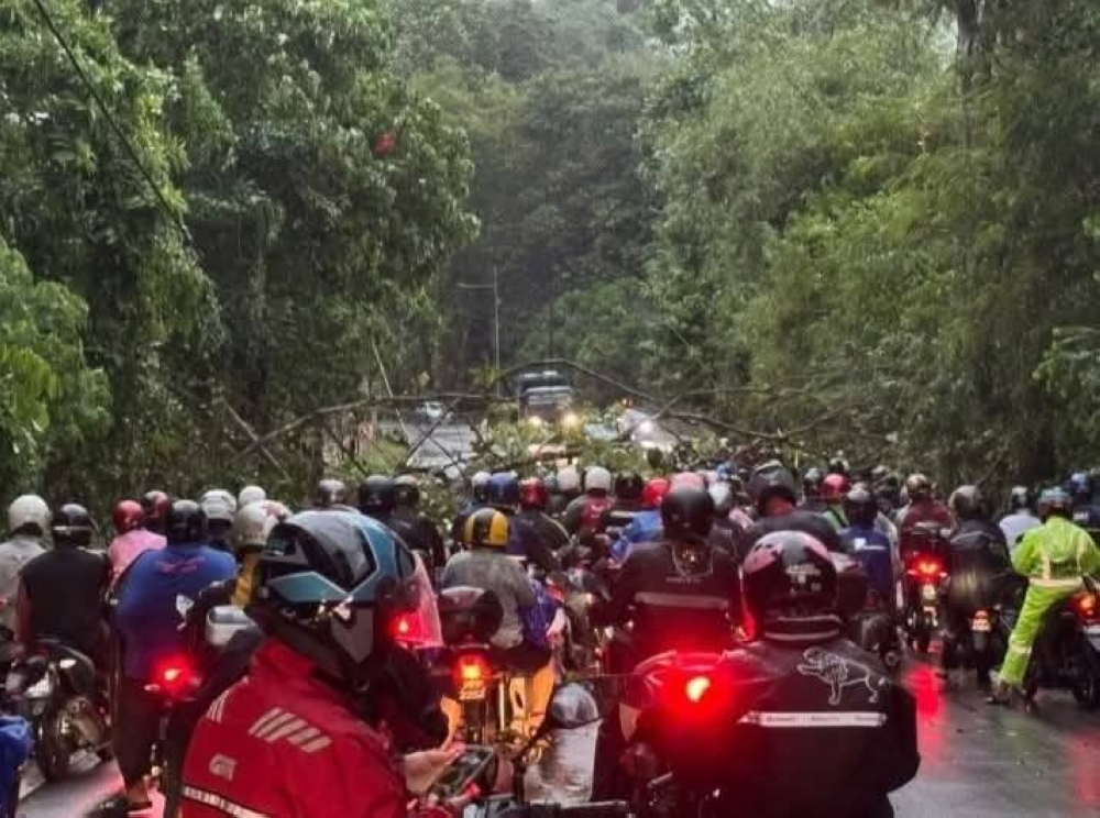 Traffic congestion gripped several areas in Penang early this morning after heavy rain and strong winds caused trees to fall across roads in seven locations. — Picture via Facebook/Penang Kini