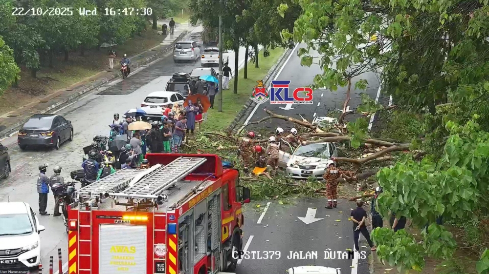 DBKL's Command and Control Centre posted a photo of the site depicting two cars trapped beneath the branches of the fallen tree with firefighters on site. — DBKL pic