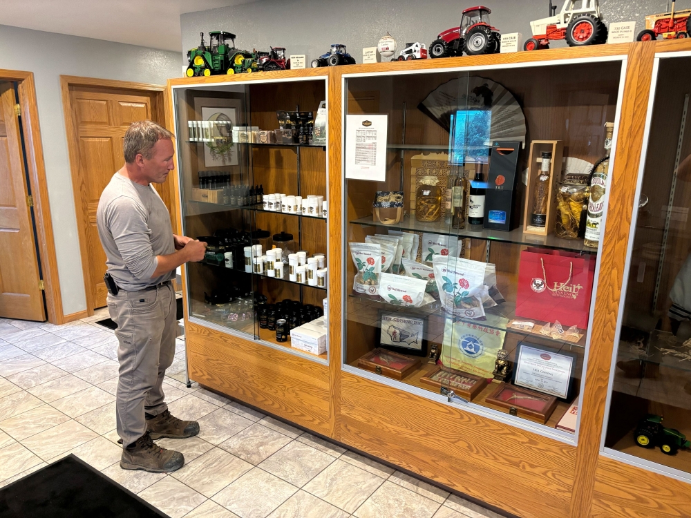 Ginseng grower Joe Heil shows ginseng roots on display at the offices of Heil Ginseng Enterprises in Edgar, Wisconsin, August 22, 2025. — Reuters pic